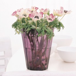 Anemones epitomise the Modern Romance Trend