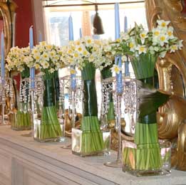 Narcissi trees in jewelled glass tanks