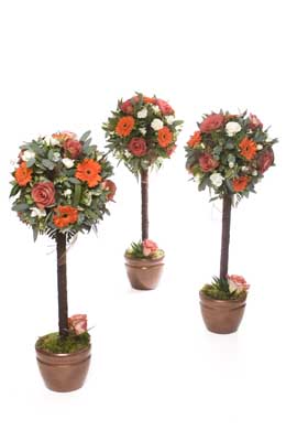 Terracotta rose and gerbera topiary trees