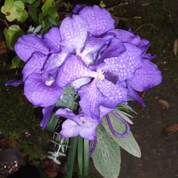 vanda and eucalyptus bouquet