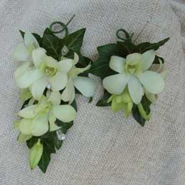 dendrobium corsages