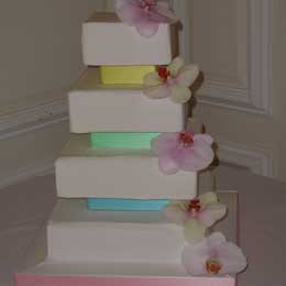 Phalaenopsis finish off a cake