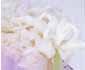 Hyacinth - unobtrusive loveliness