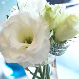 Lisianthus