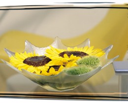 Sunflower Splash