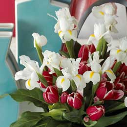 White iris and deep pink tulips