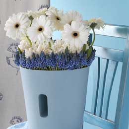 White gerbera and hyacinth with muscari