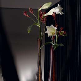 Elegant longiflorum and kangaroo paw