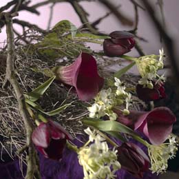 Arum lilies and chincherinchee