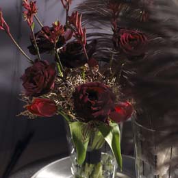 Deep red roses and kangaroo paw